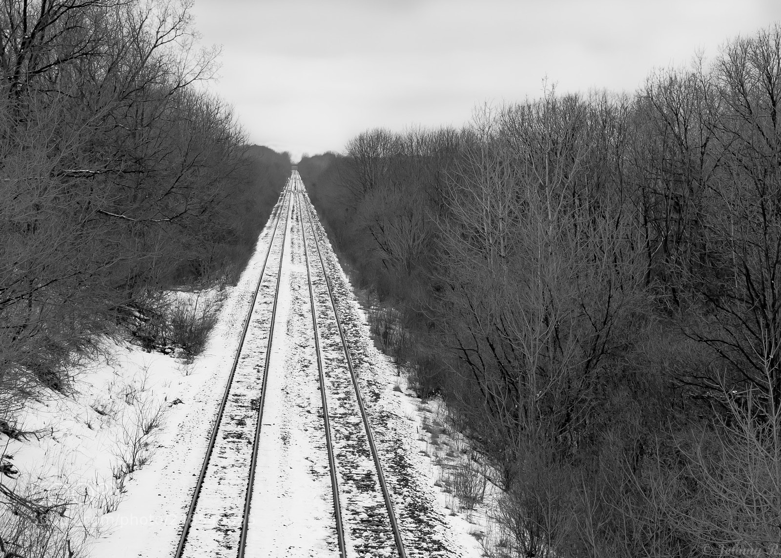 Nikon D5600 sample photo. Snow covered railways photography