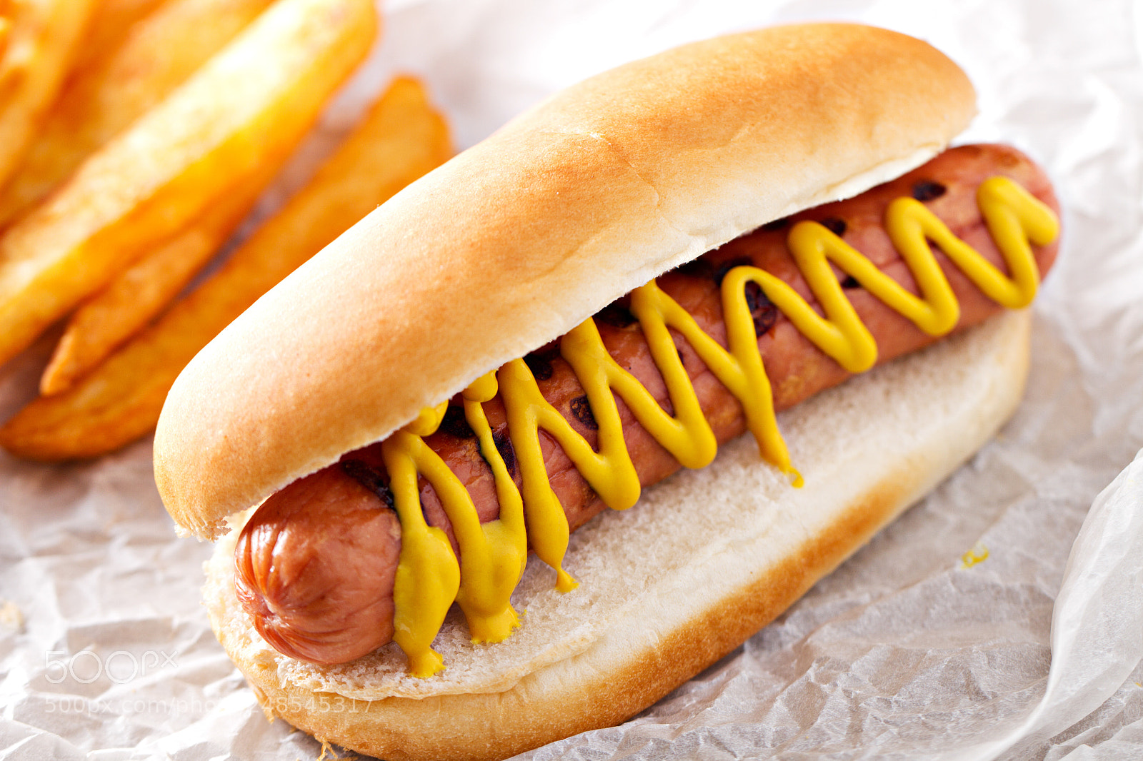 Canon EOS 7D sample photo. Hotdog and fries with photography