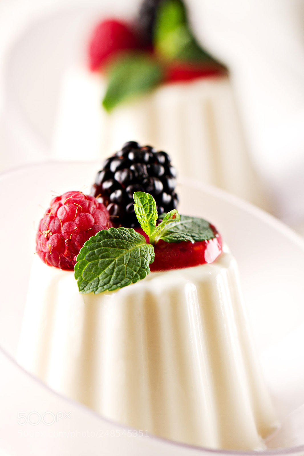 Canon EOS 7D sample photo. Panna cotta with fresh photography