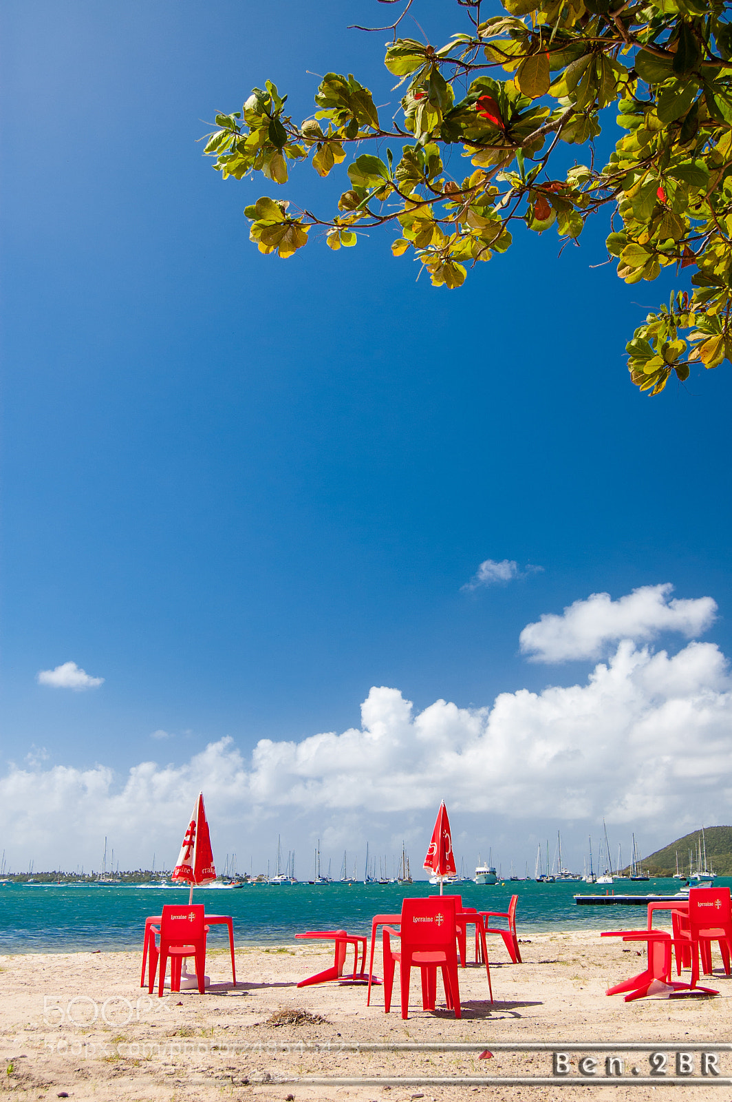 Nikon D40 sample photo. La vie en couleurs photography