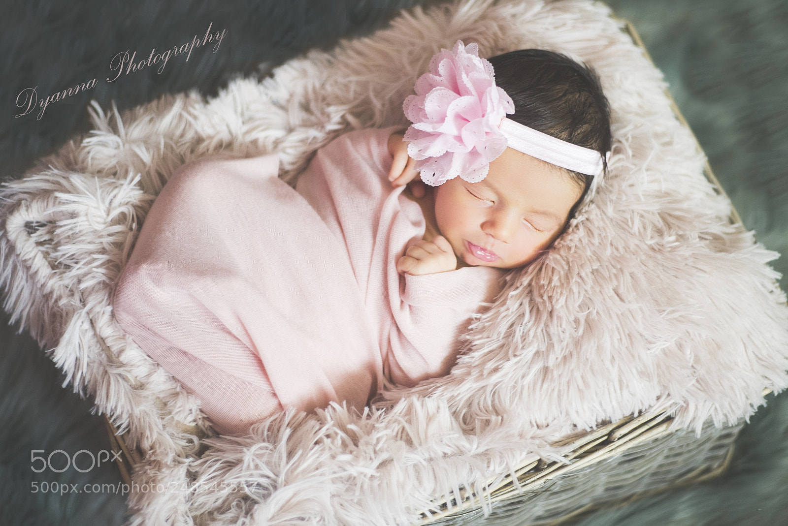 Nikon D810 sample photo. I think i am photography