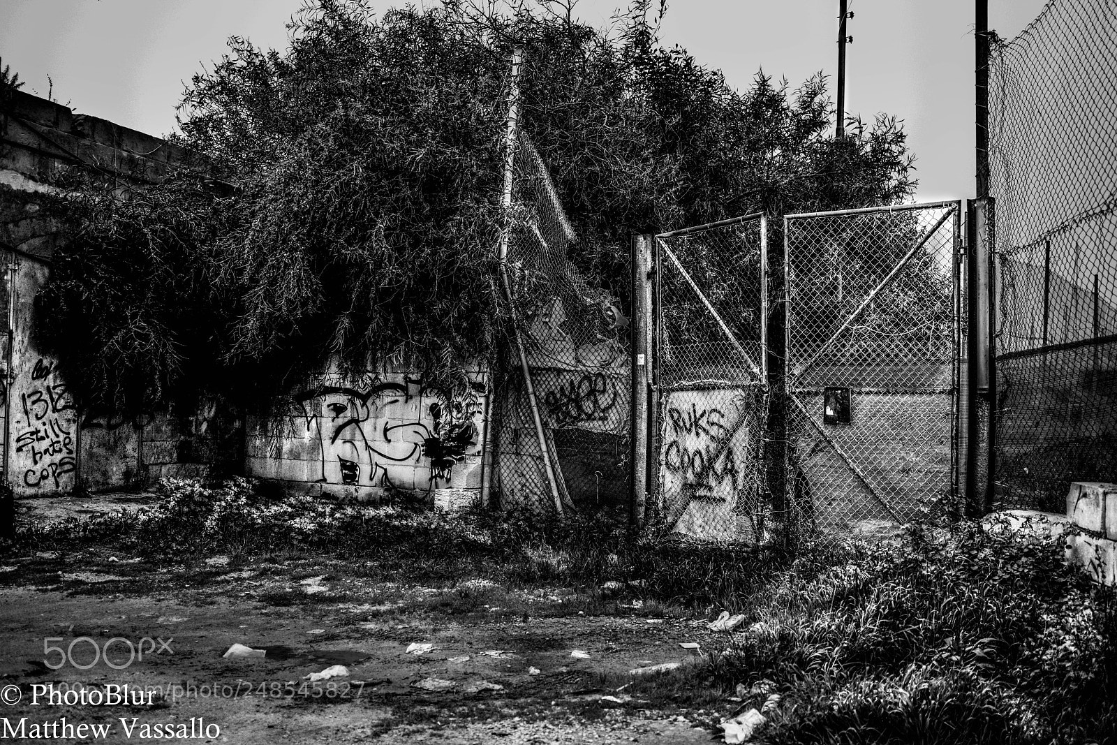Sony a7R II sample photo. Monochrome football ground gate photography