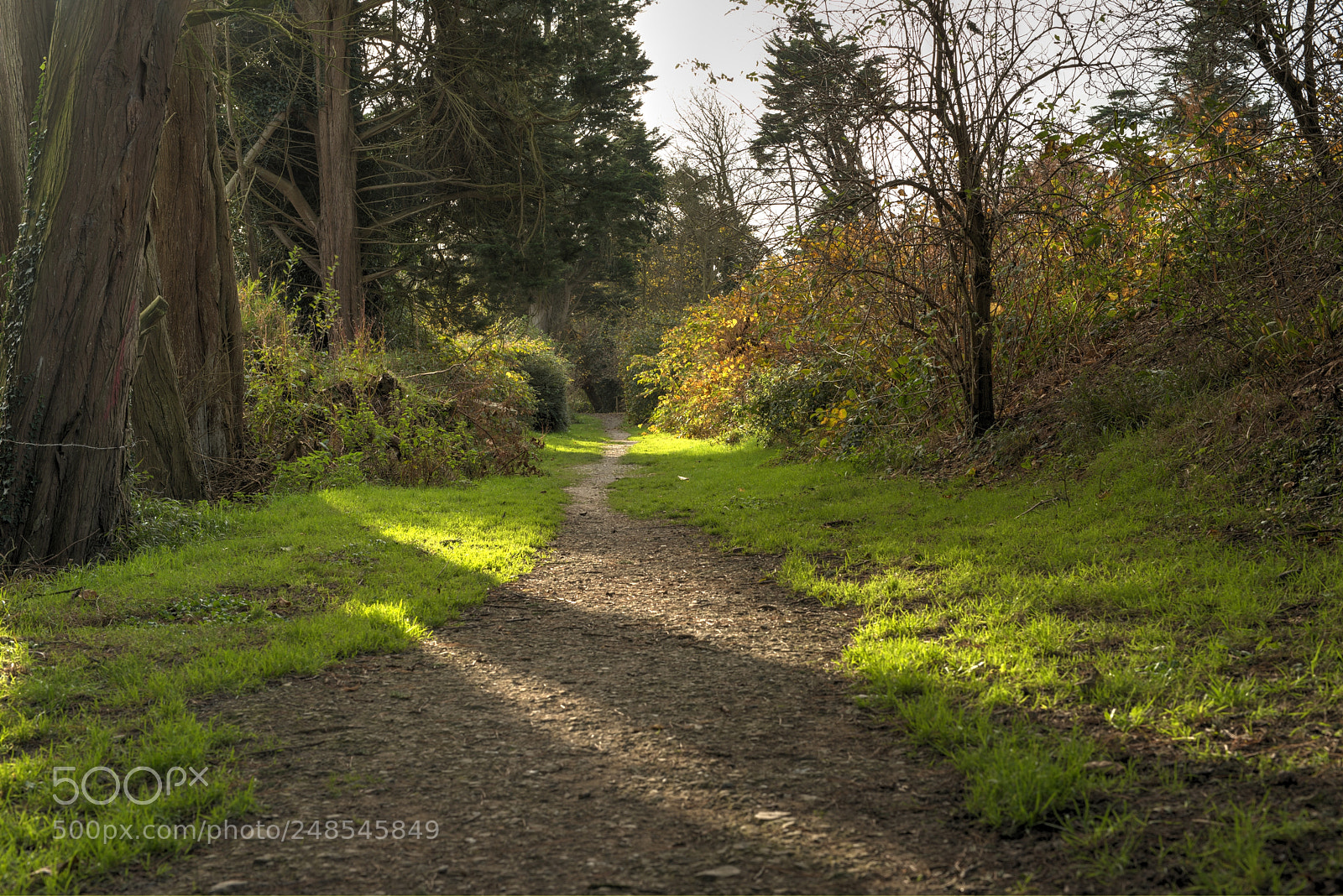 Nikon D810 sample photo. River walk photography