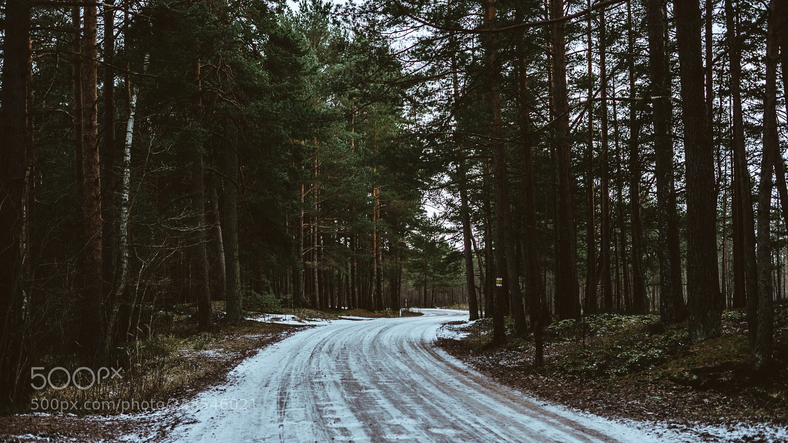 Sony a7 sample photo. Kimeri forest photography
