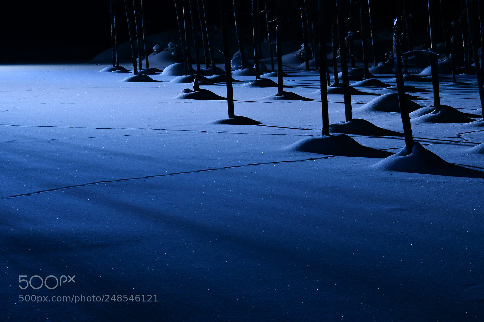 Nikon D500 sample photo. Untitled photography