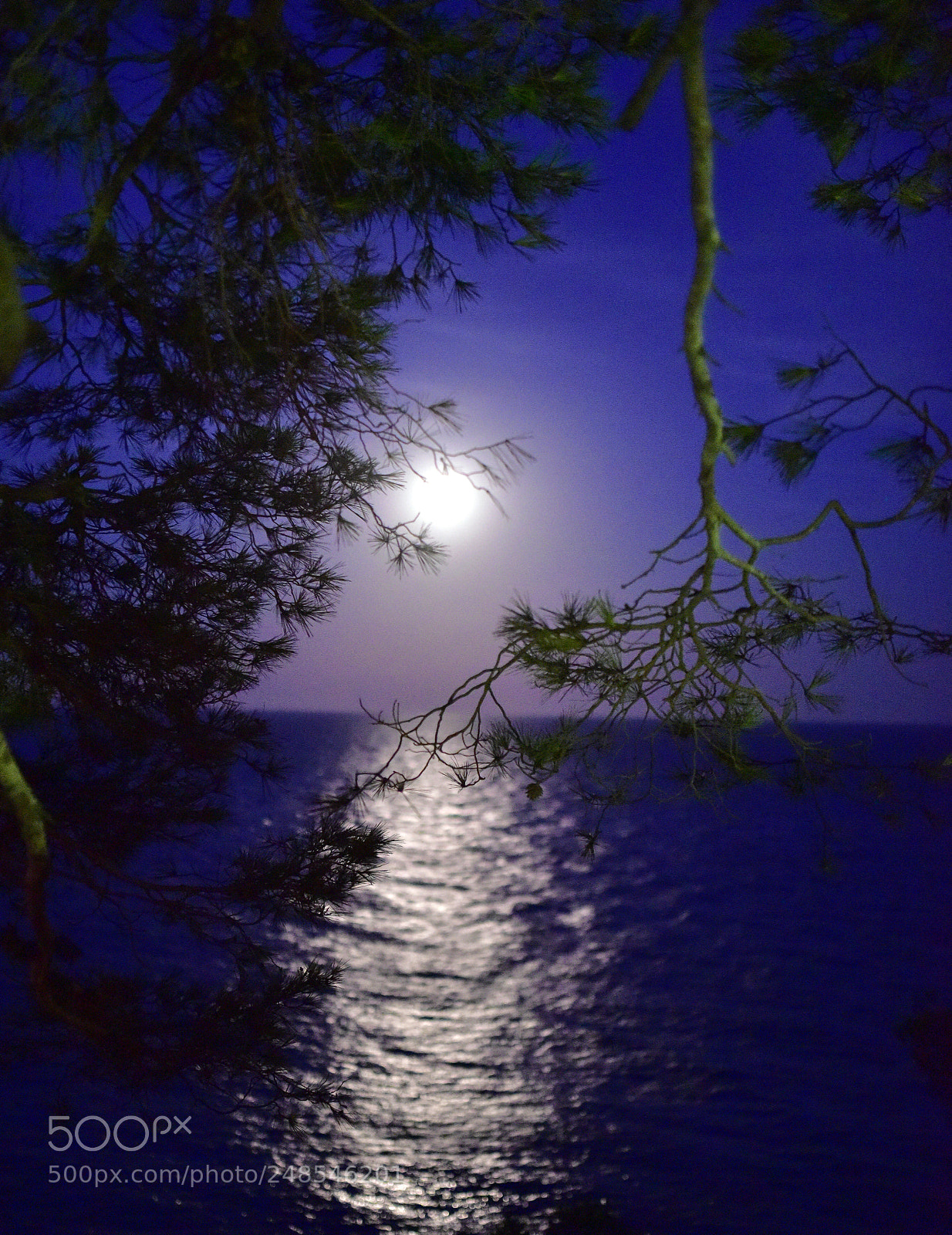 Nikon D810 sample photo. Claro de  luna photography