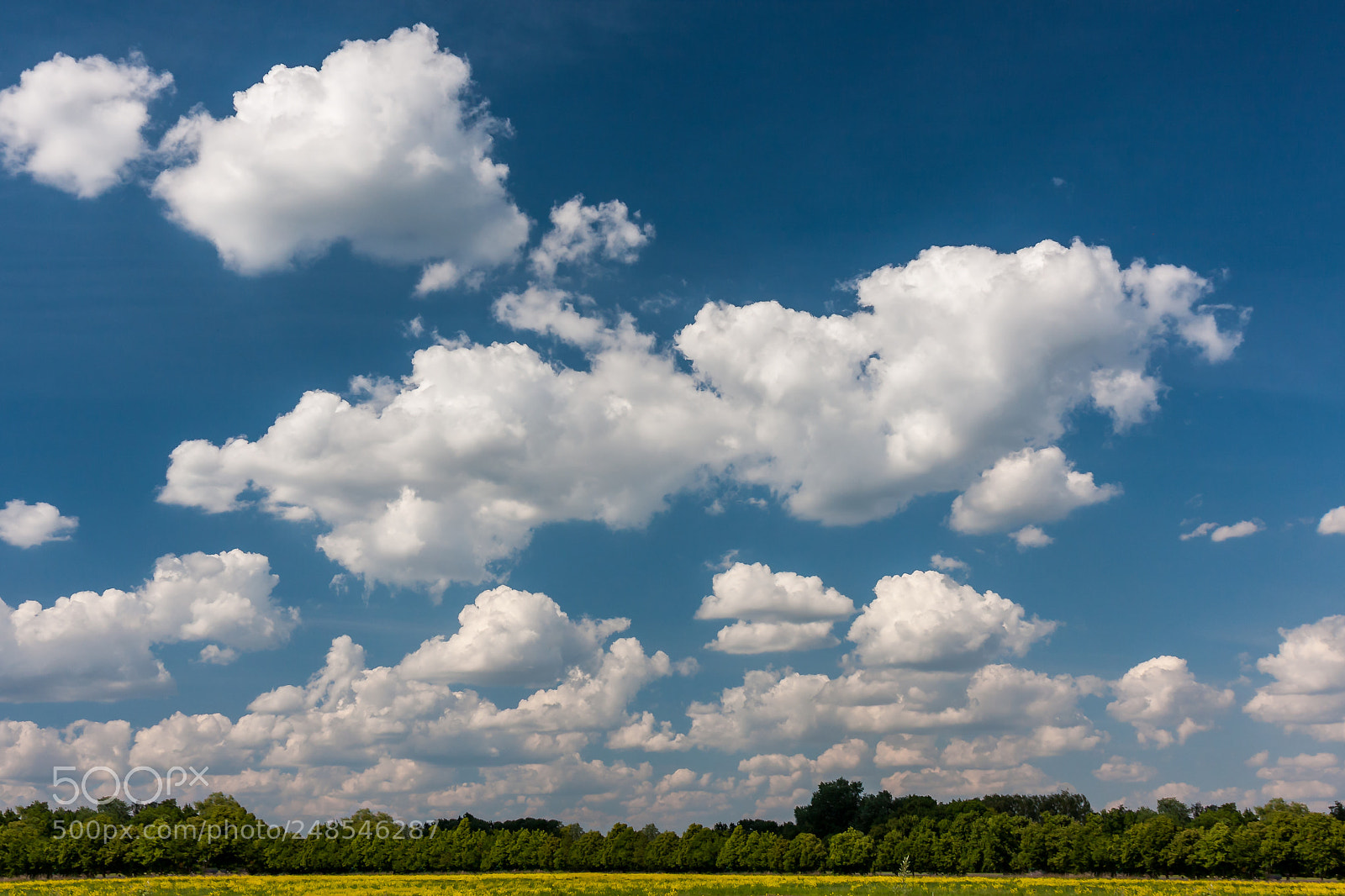 Canon EOS 40D sample photo. Beautiful cumulus clouds on photography