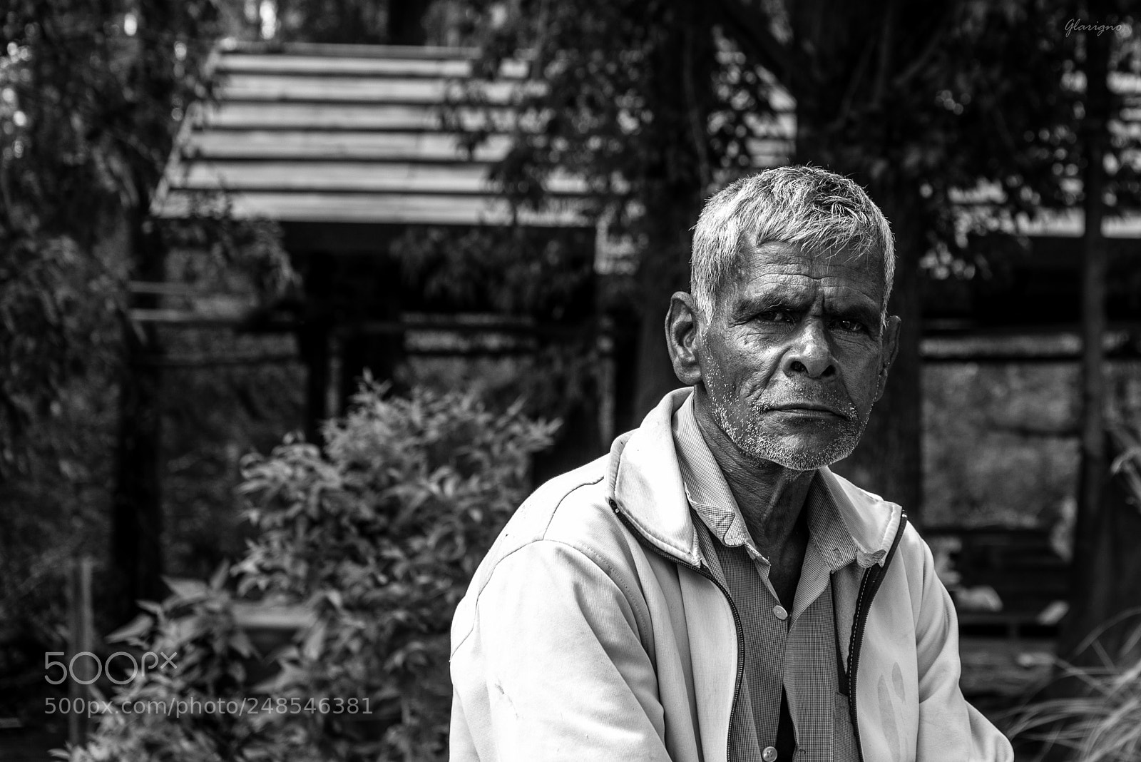 Nikon D610 sample photo. Sri lanka xix photography