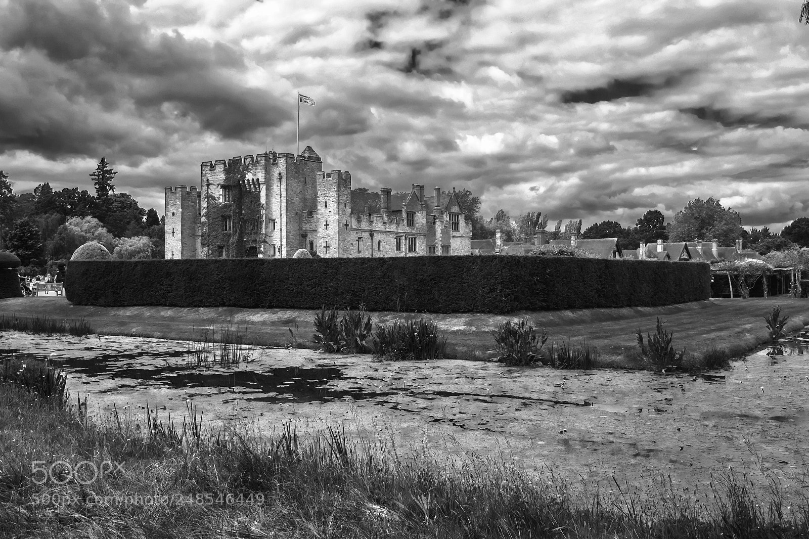 Nikon D3100 sample photo. Hever castle: black & white photography