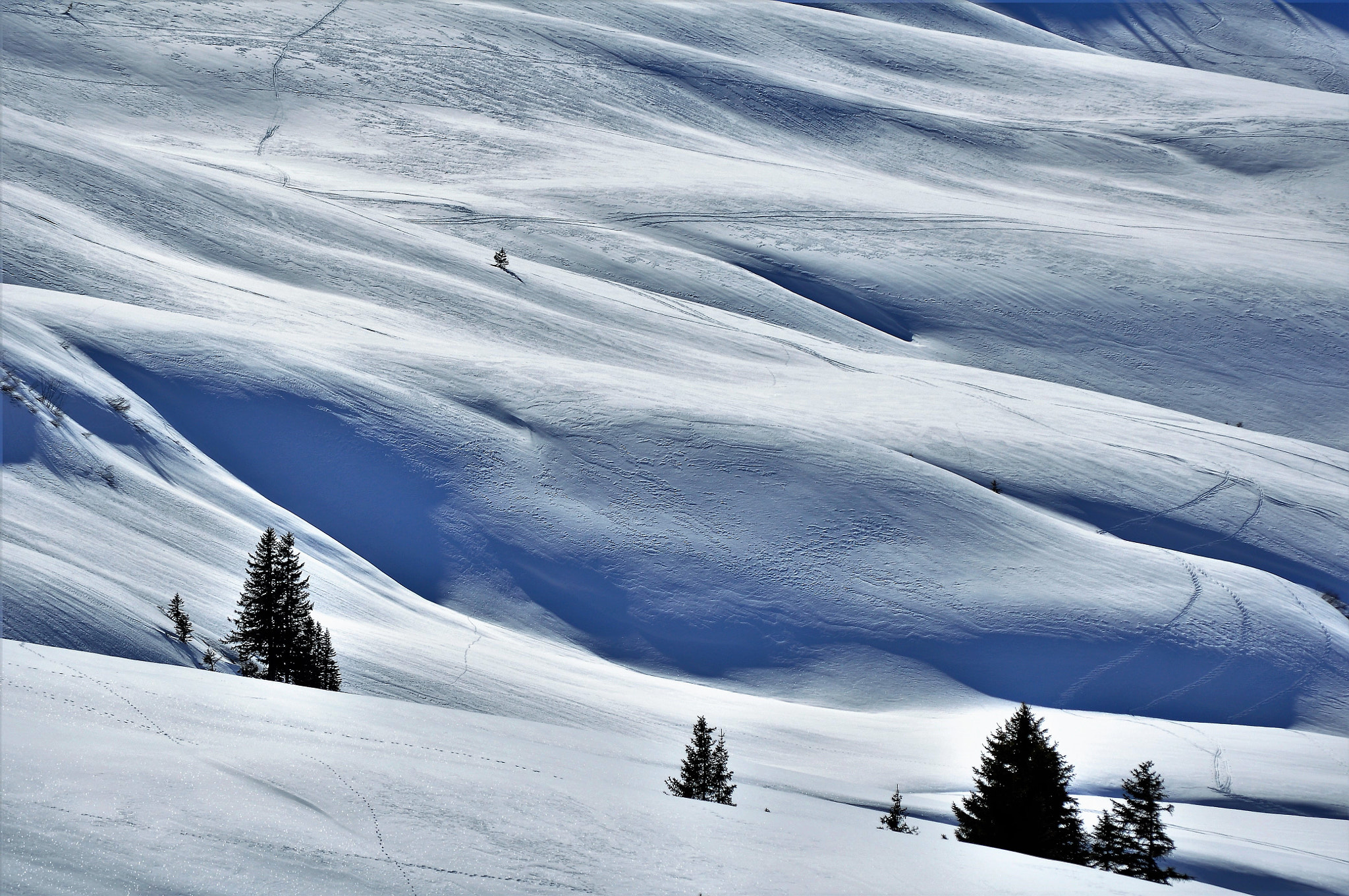 Nikon D90 sample photo. Snow fields photography