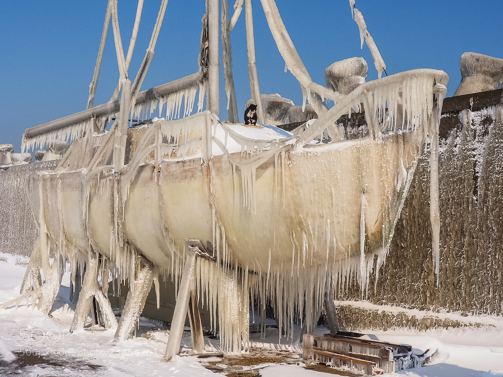 Olympus OM-D E-M10 II sample photo. The magic of ice  4 photography