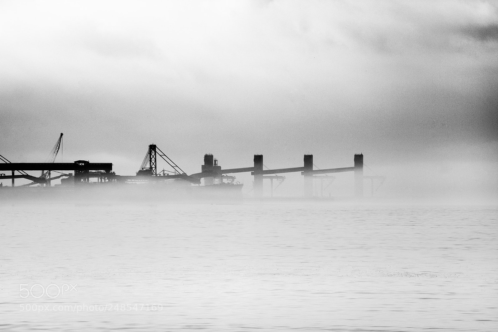 Nikon D5200 sample photo. The fog ii photography