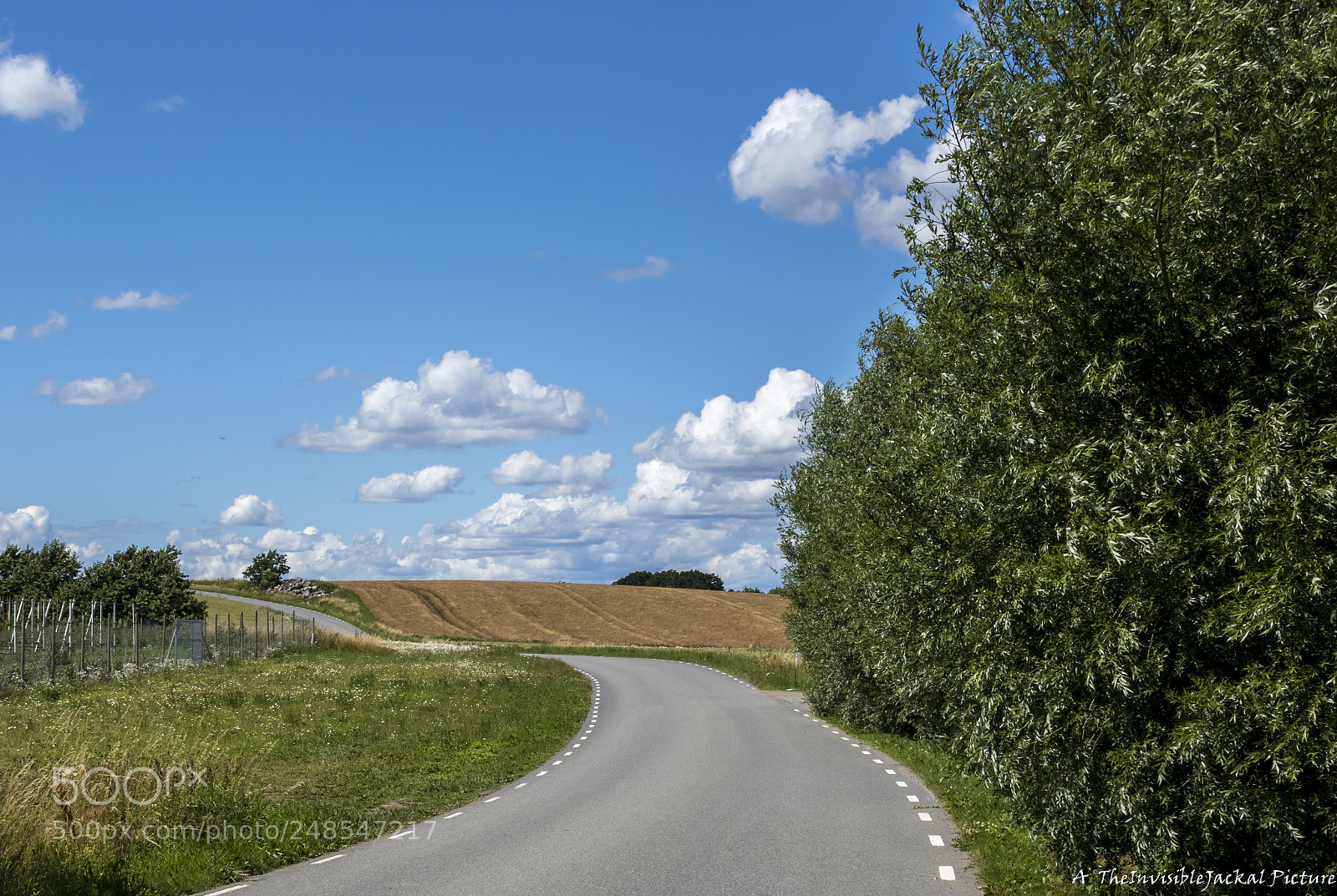 Canon EOS 7D Mark II sample photo. The long and winding photography