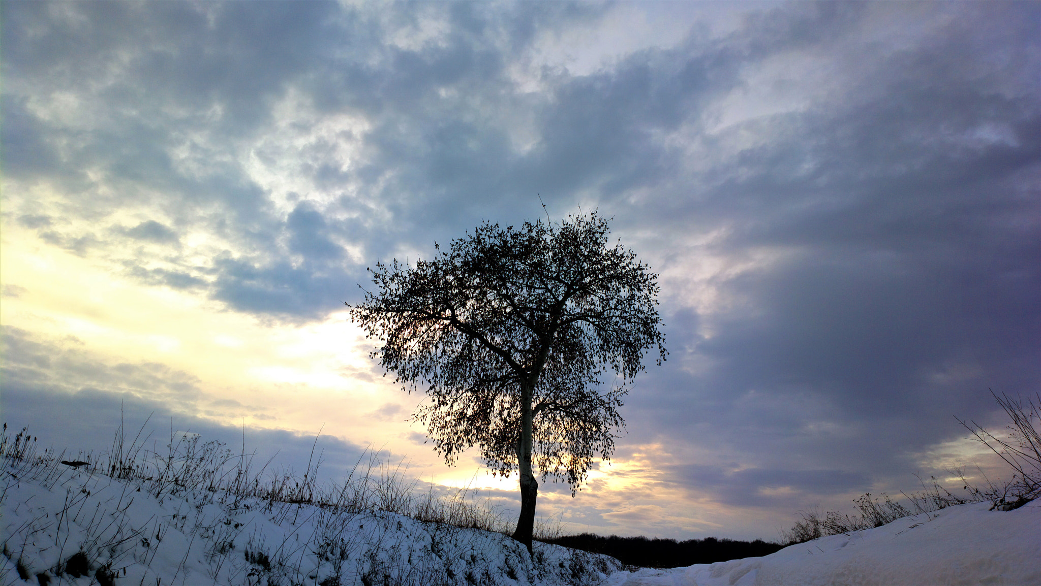 Nokia 808 PureView sample photo. Golo stablo photography