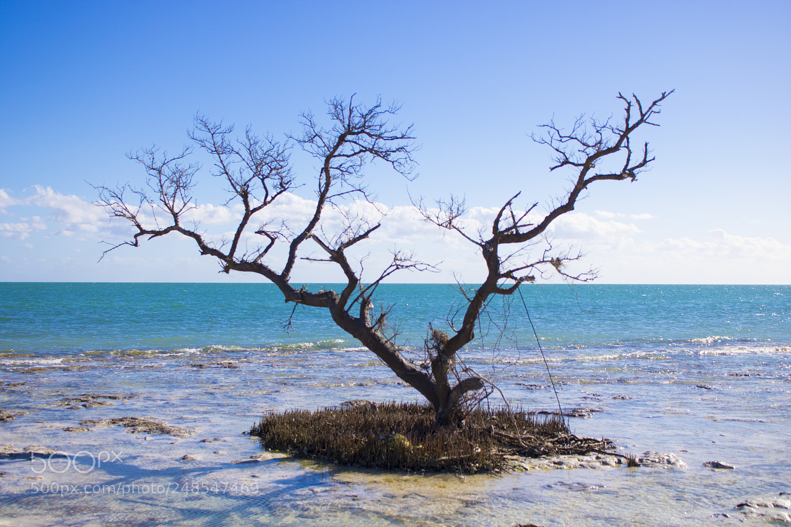 Canon EOS 750D (EOS Rebel T6i / EOS Kiss X8i) sample photo. Life on the sea photography