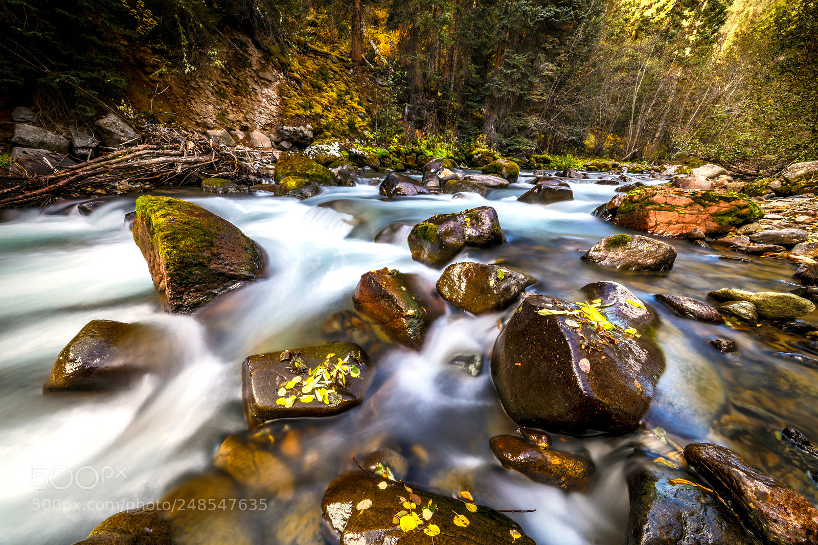 Canon EOS 5DS R sample photo. Fall stream photography