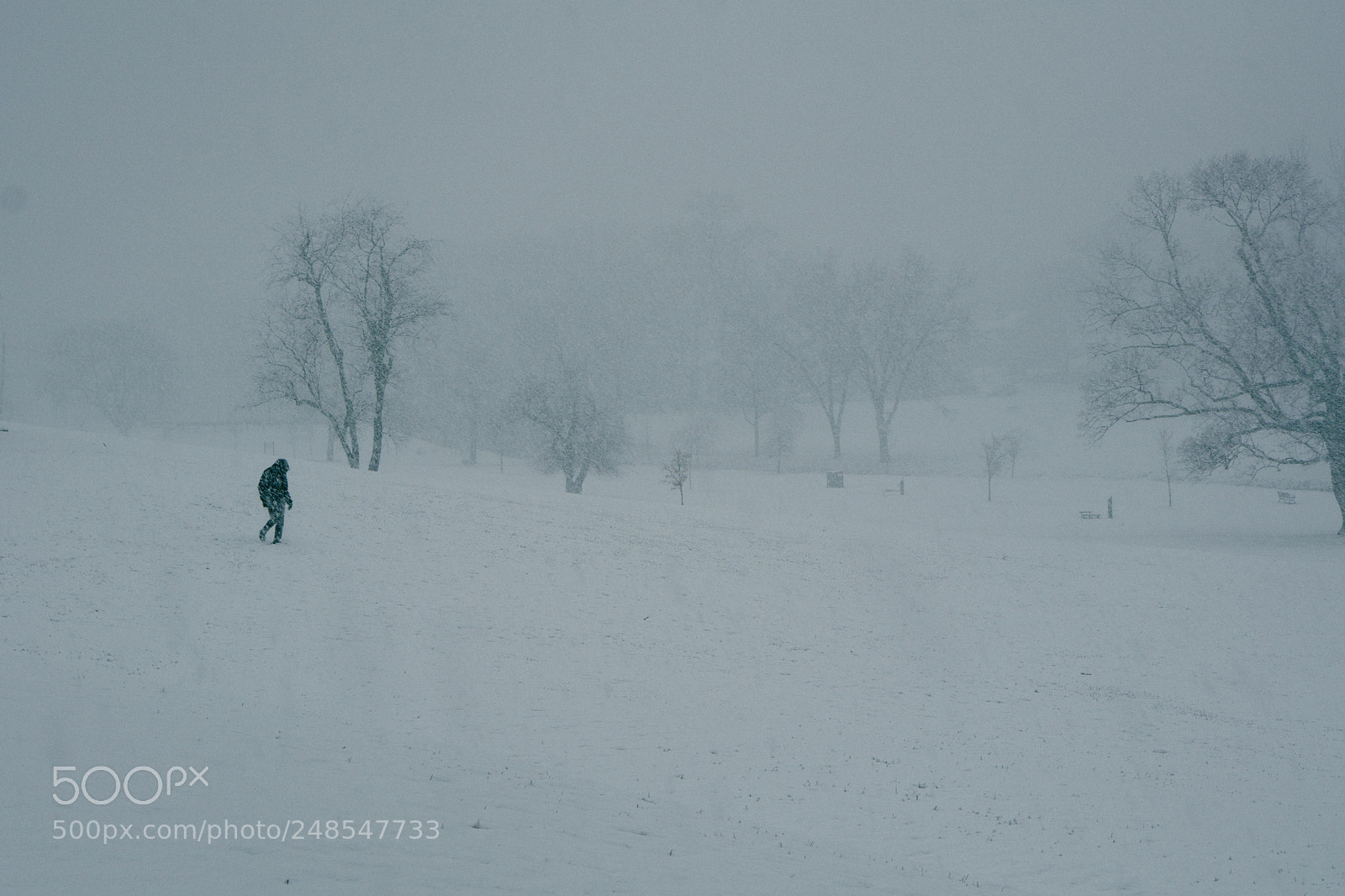 Sony a6000 sample photo. Snowy park photography