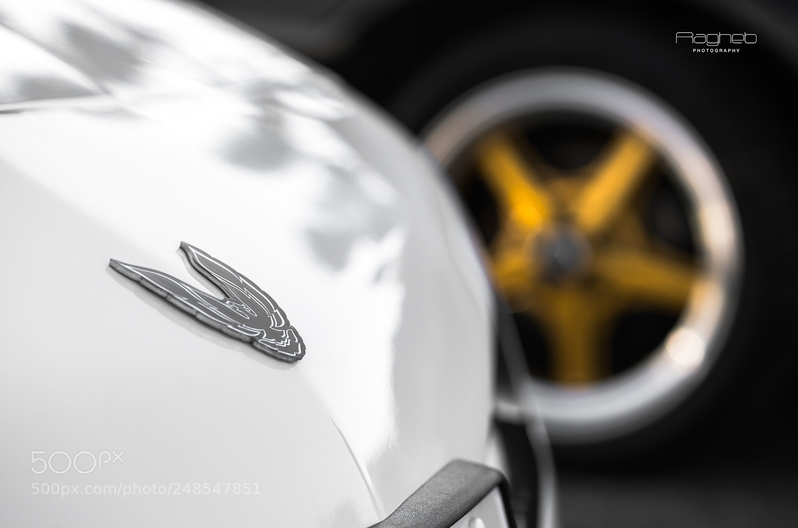 Sony a7R II sample photo. Pontiac kuwait photography
