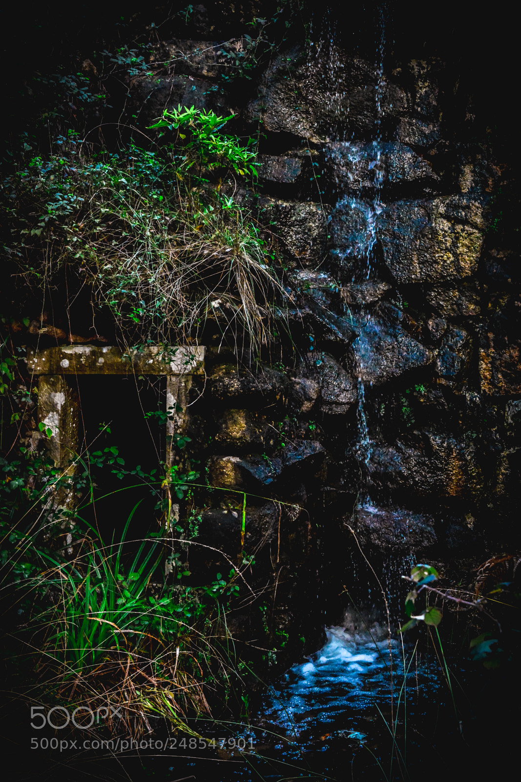 Nikon D5200 sample photo. Smells like sintra photography