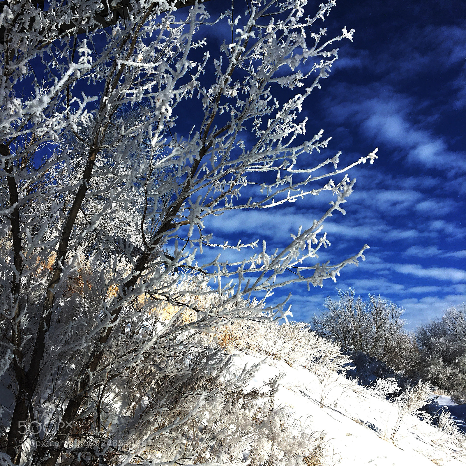 Apple iPhone 6s sample photo. Winter photography