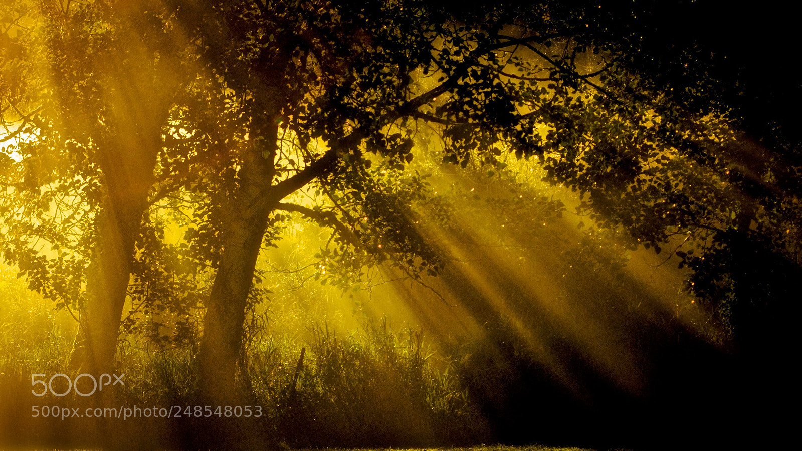 Pentax K-5 sample photo. Sunstream photography