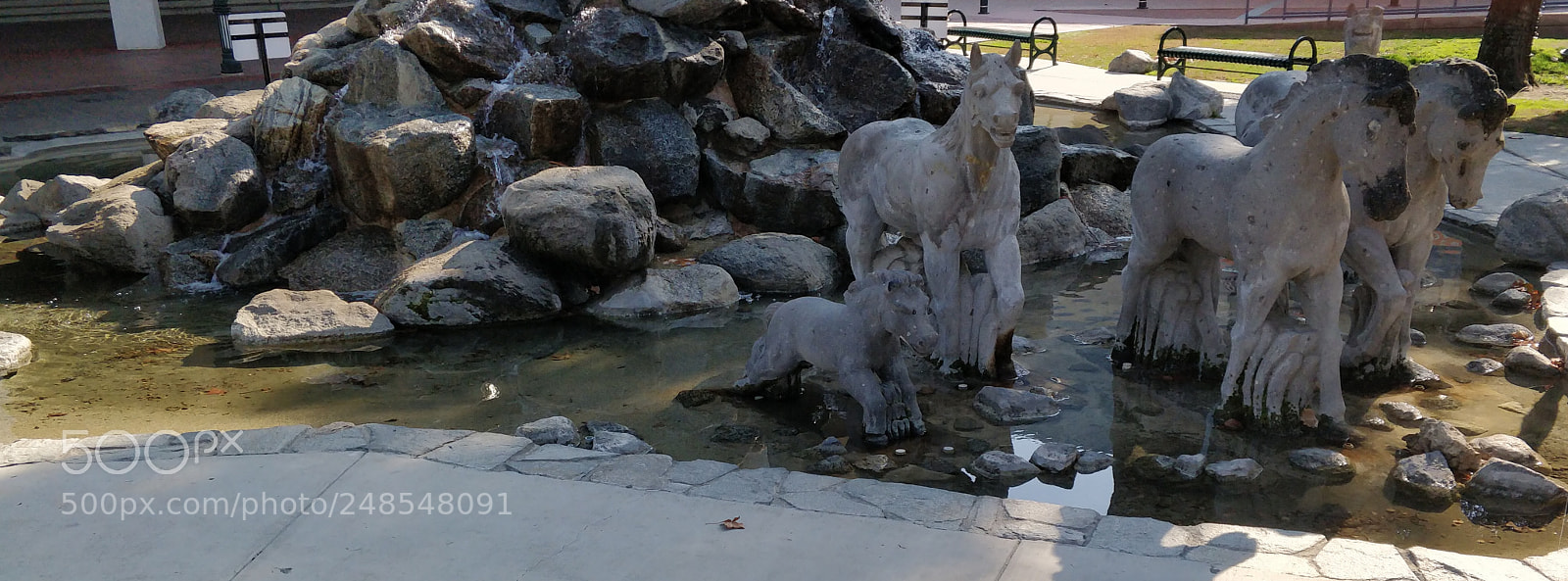 OnePlus 5 sample photo. Wild horses photography