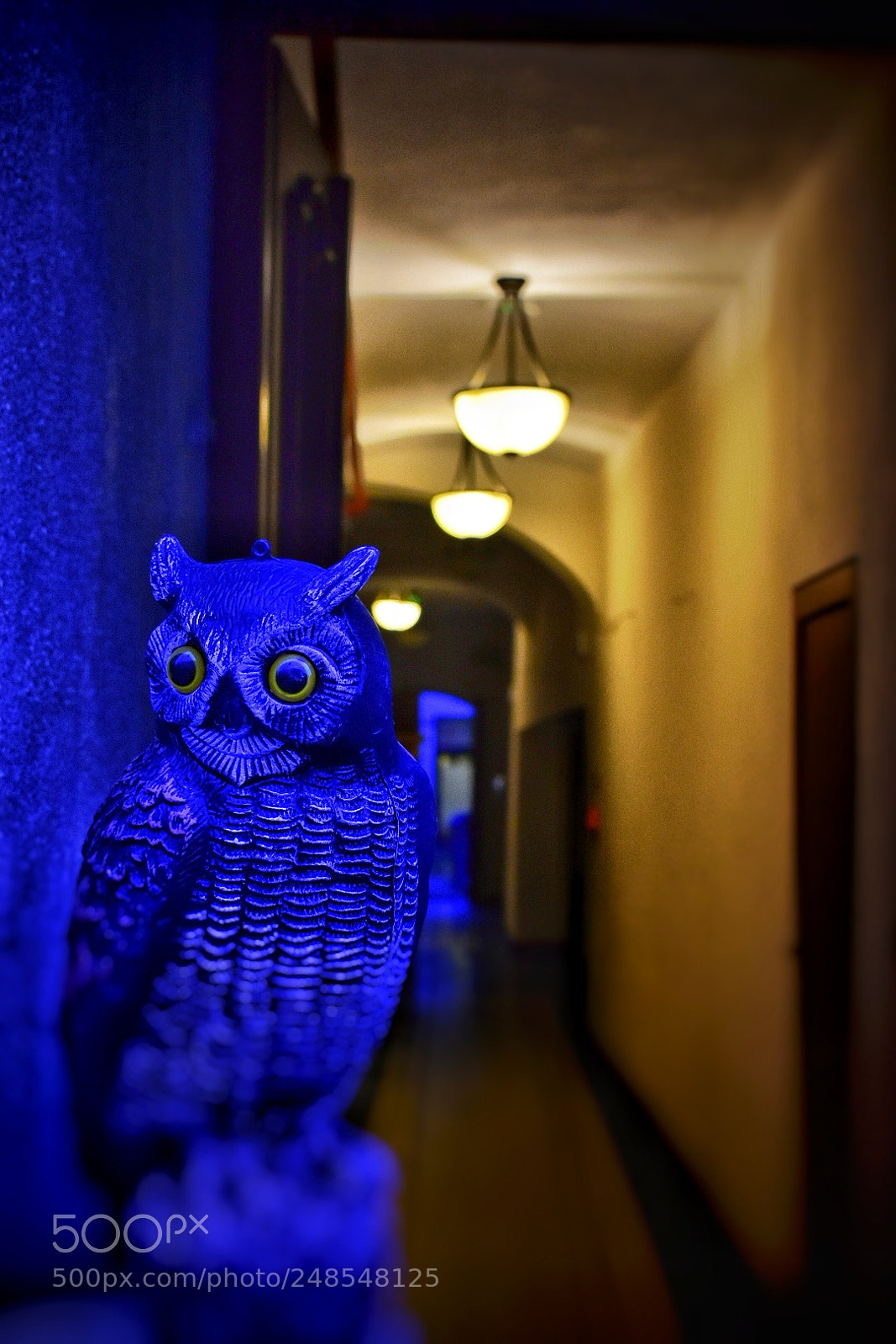 Nikon D3400 sample photo. Untitled photography