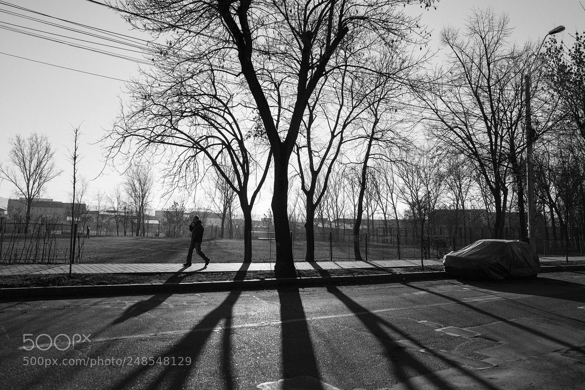 Nikon D610 sample photo. Untitled photography