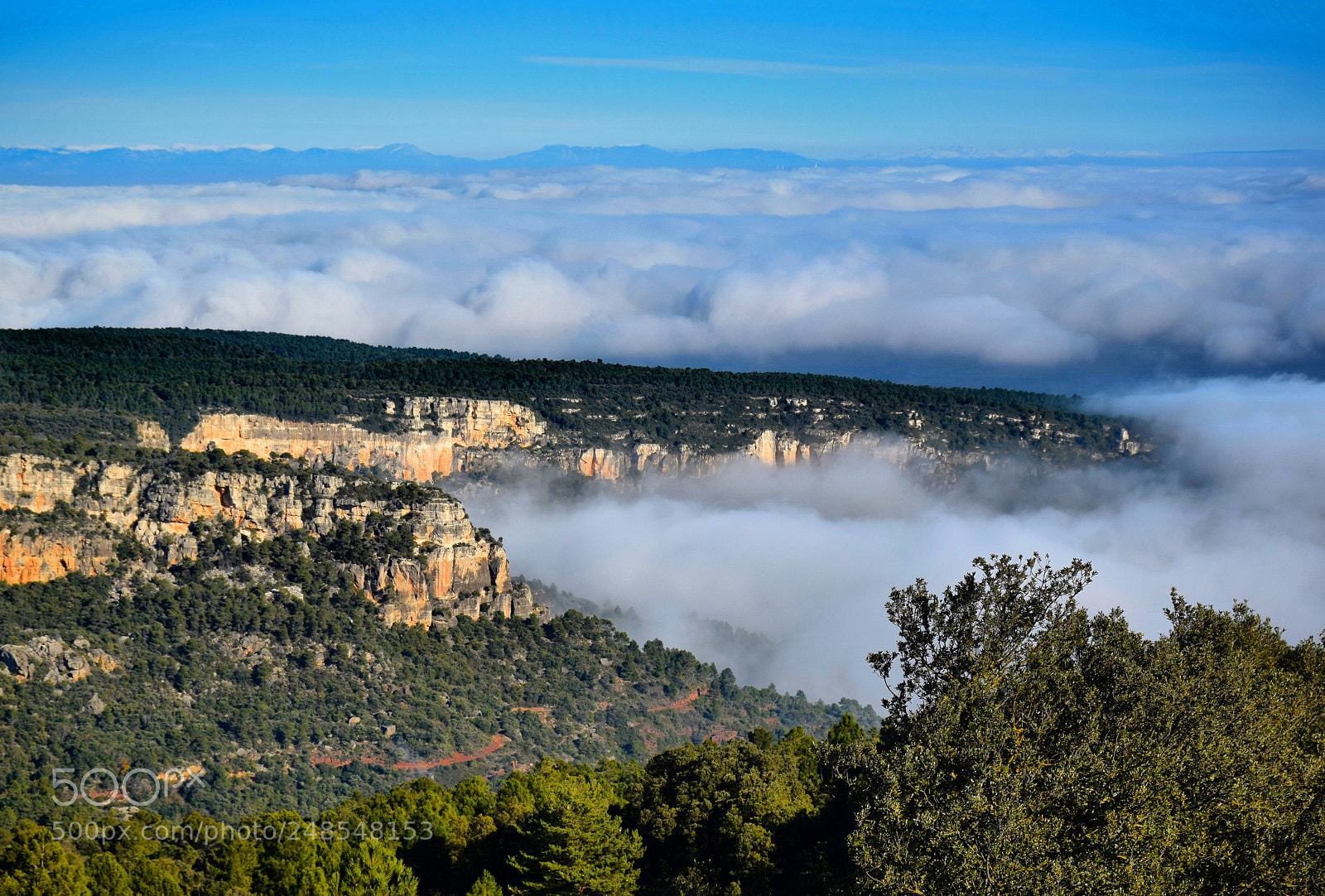 Nikon D5300 sample photo. Rojals catalonia a sea photography