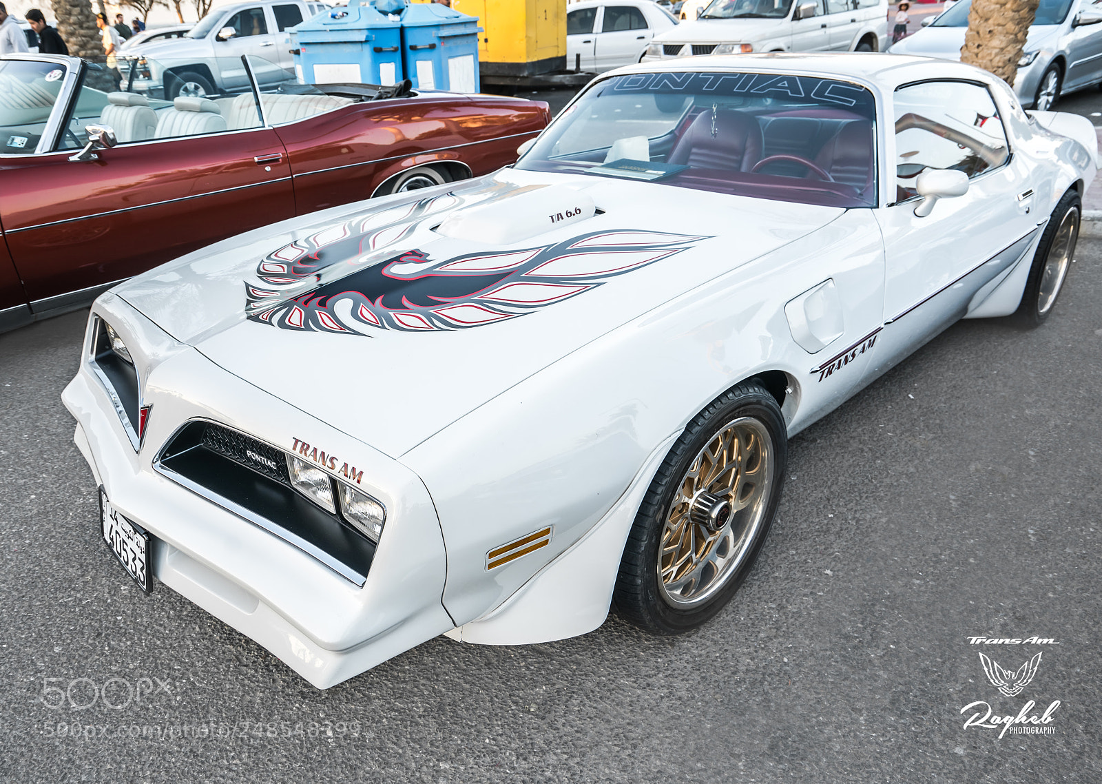 Sony a7R II sample photo. Pontiac kuwait photography