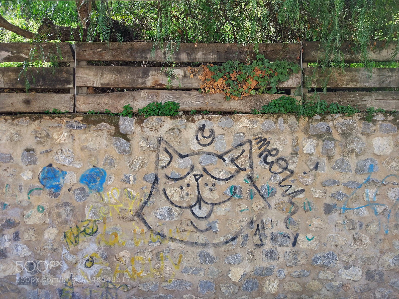 Xiaomi MI 5 sample photo. Untitled photography