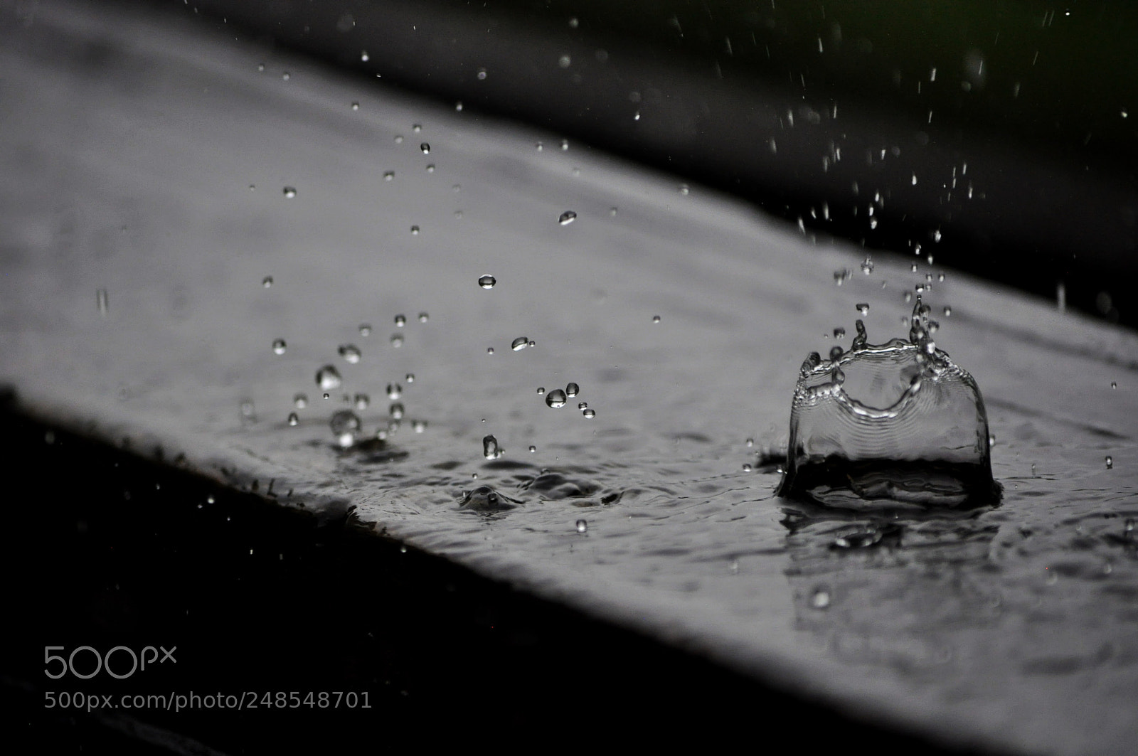 Nikon D5000 sample photo. Stop motion photography