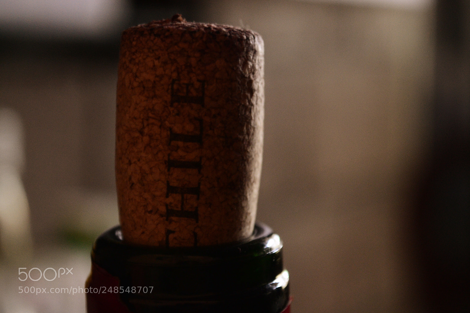 Nikon D3100 sample photo. Untitled photography