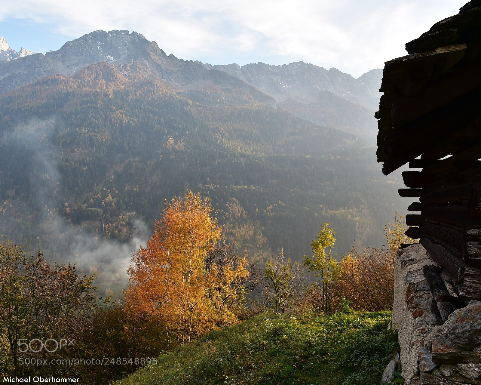 Nikon D7200 sample photo. Autumn day photography