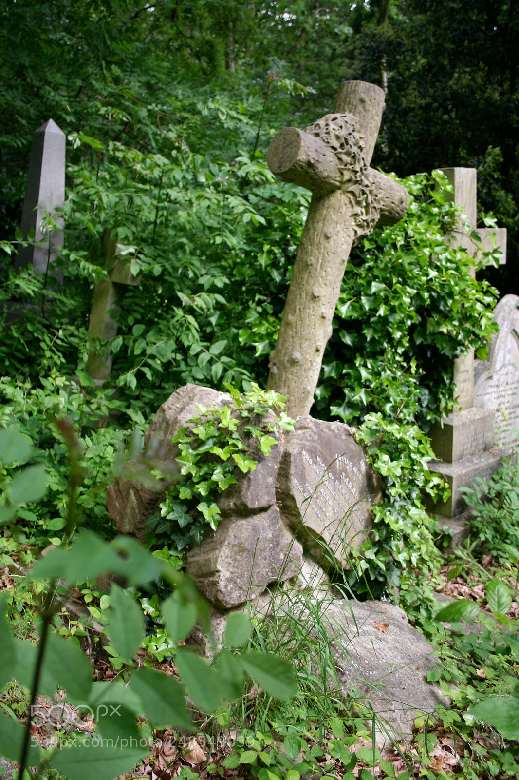 Canon EOS 350D (EOS Digital Rebel XT / EOS Kiss Digital N) sample photo. Img o photography