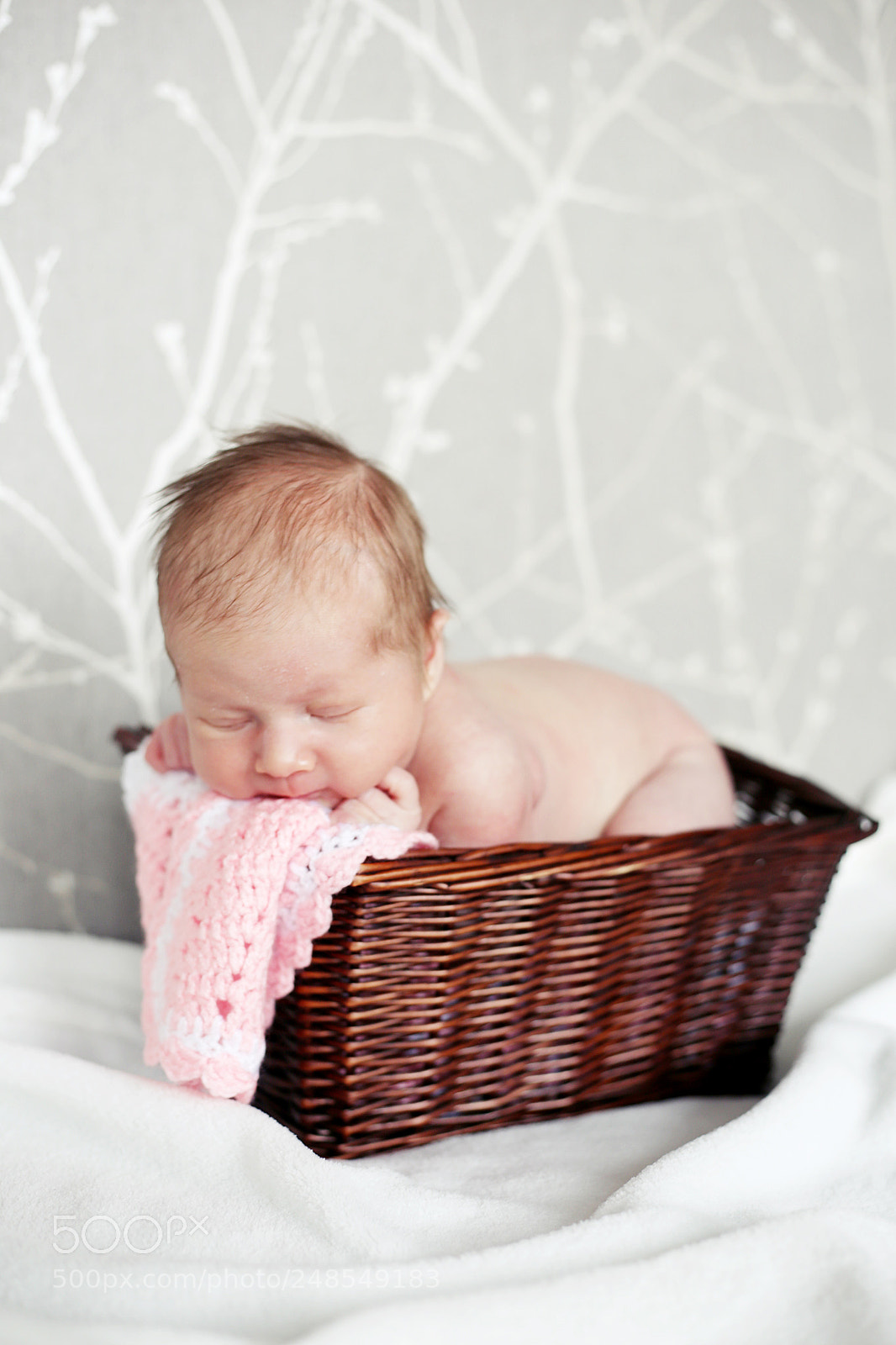 Canon EOS 6D + Canon EF 50mm F1.8 STM sample photo. [] portra niski photography