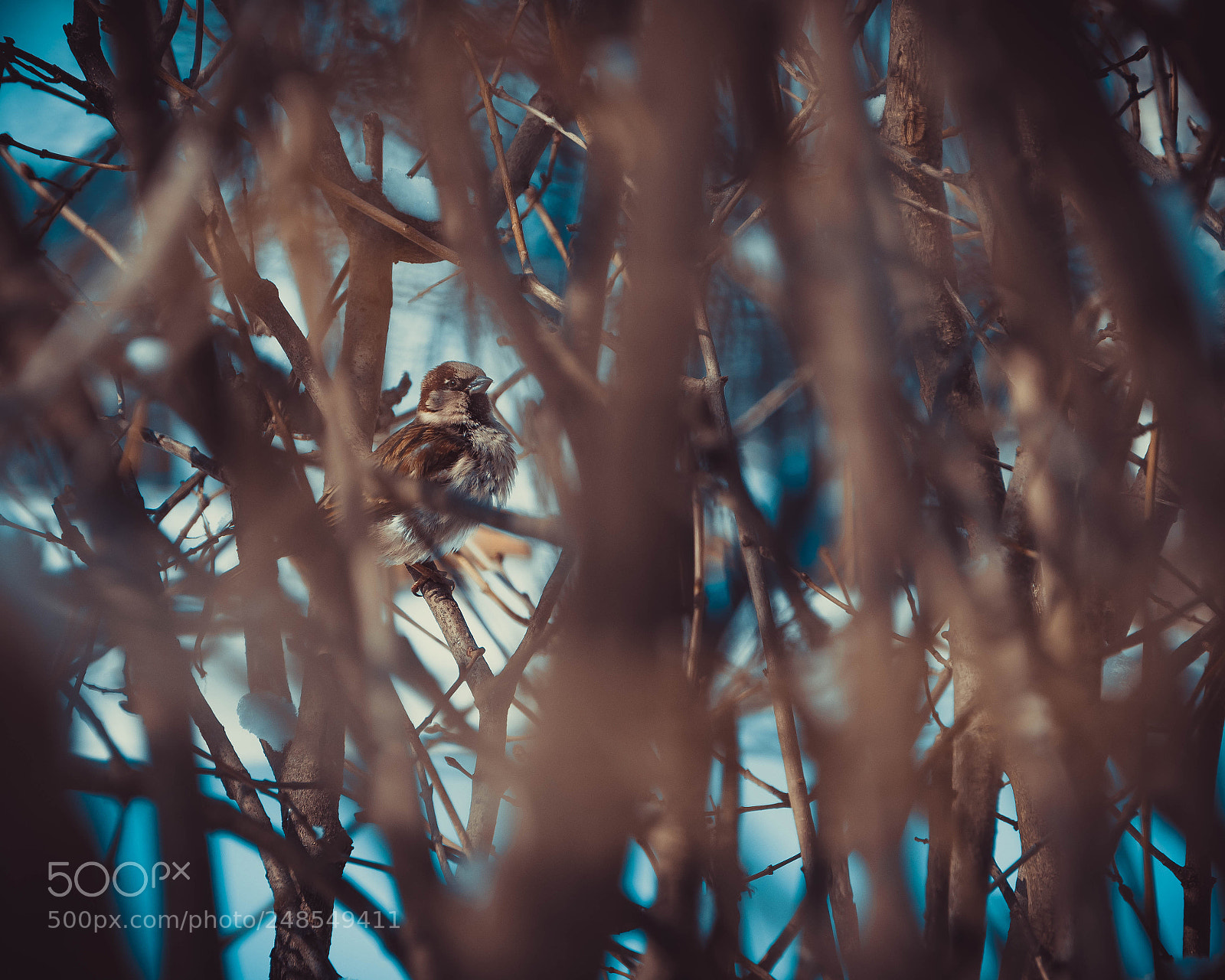 Nikon D7500 sample photo. *** photography