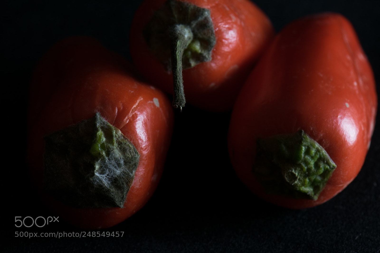 Nikon D5300 sample photo. Pensive peppers photography