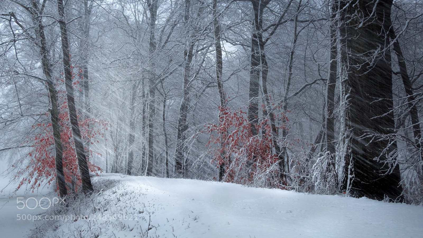 Canon EOS 60D sample photo. Nor'easter 2.0, new jersey photography