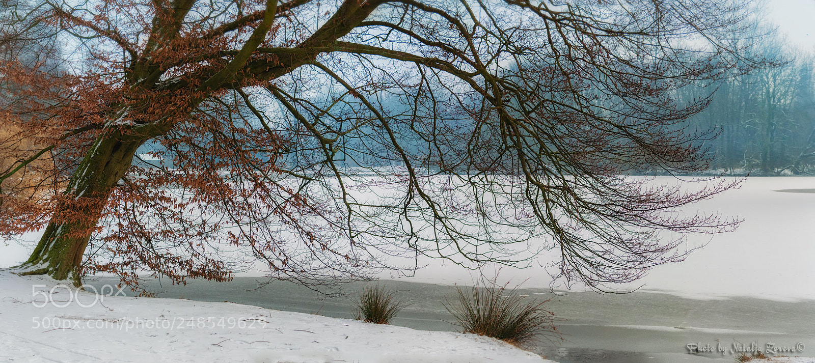 Nikon D5000 sample photo. It's already spring photography
