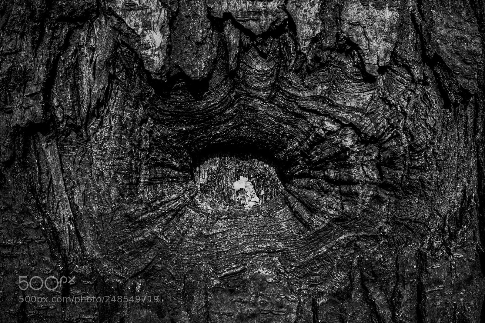 Canon EOS 60D sample photo. Wood in the city photography
