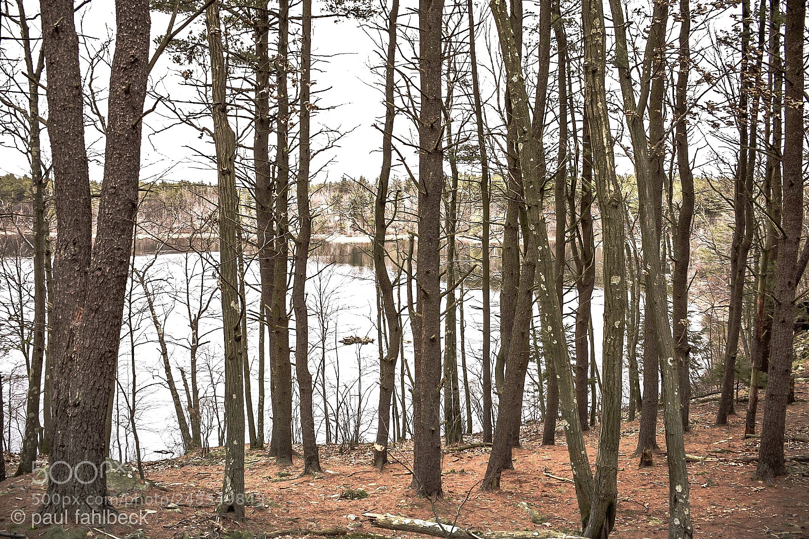 Nikon D7200 sample photo. Yesterday photography