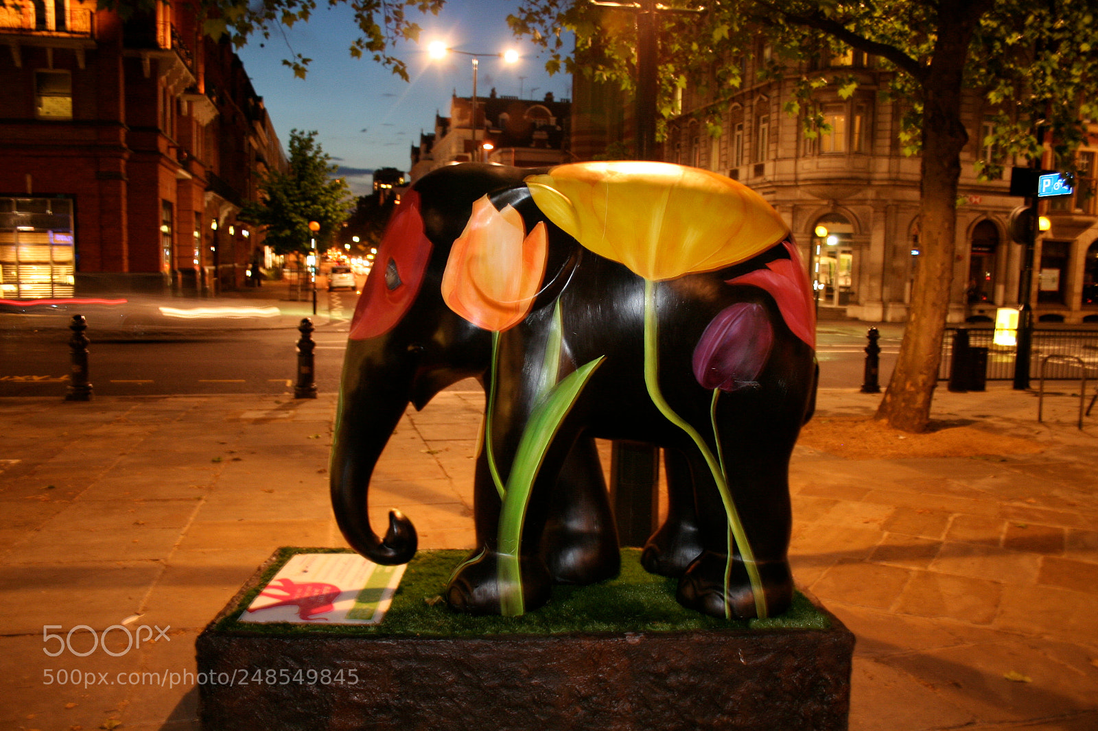 Canon EOS 350D (EOS Digital Rebel XT / EOS Kiss Digital N) sample photo. Elephant parade photography