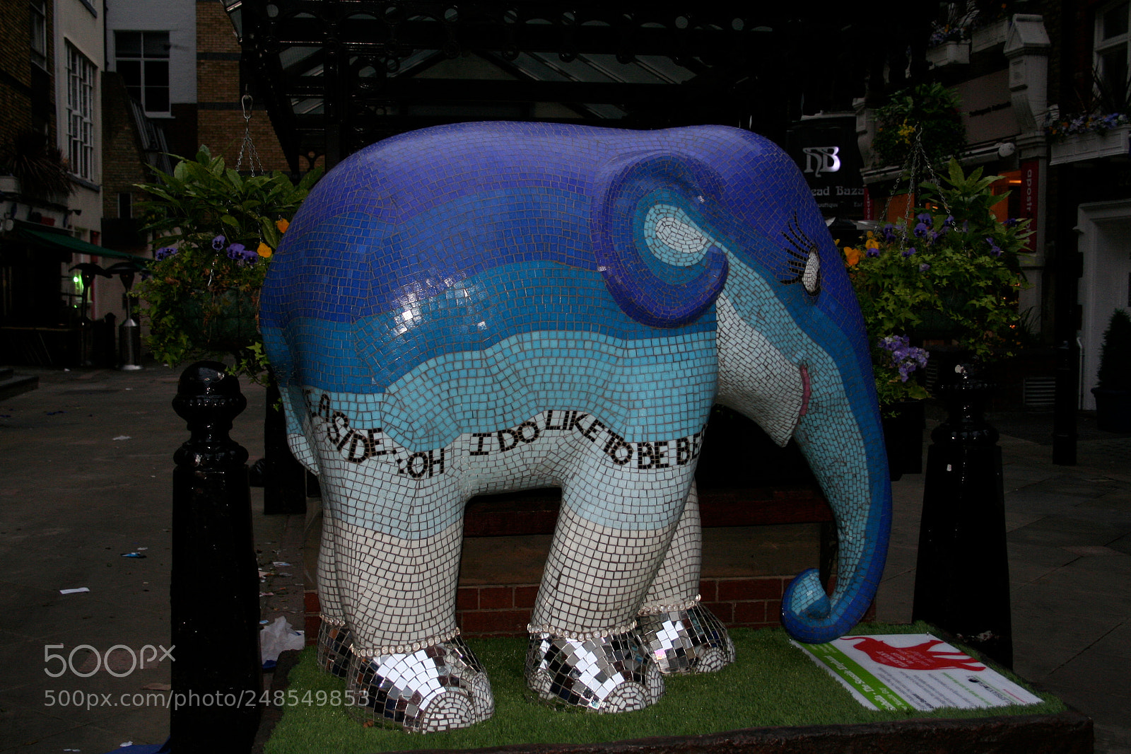 Canon EOS 350D (EOS Digital Rebel XT / EOS Kiss Digital N) sample photo. Elephant parade photography