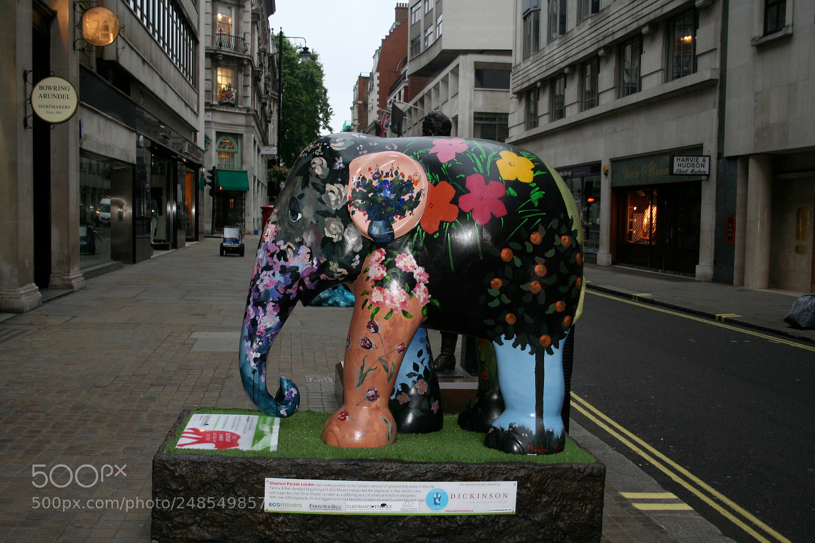 Canon EOS 350D (EOS Digital Rebel XT / EOS Kiss Digital N) sample photo. Elephant parade photography