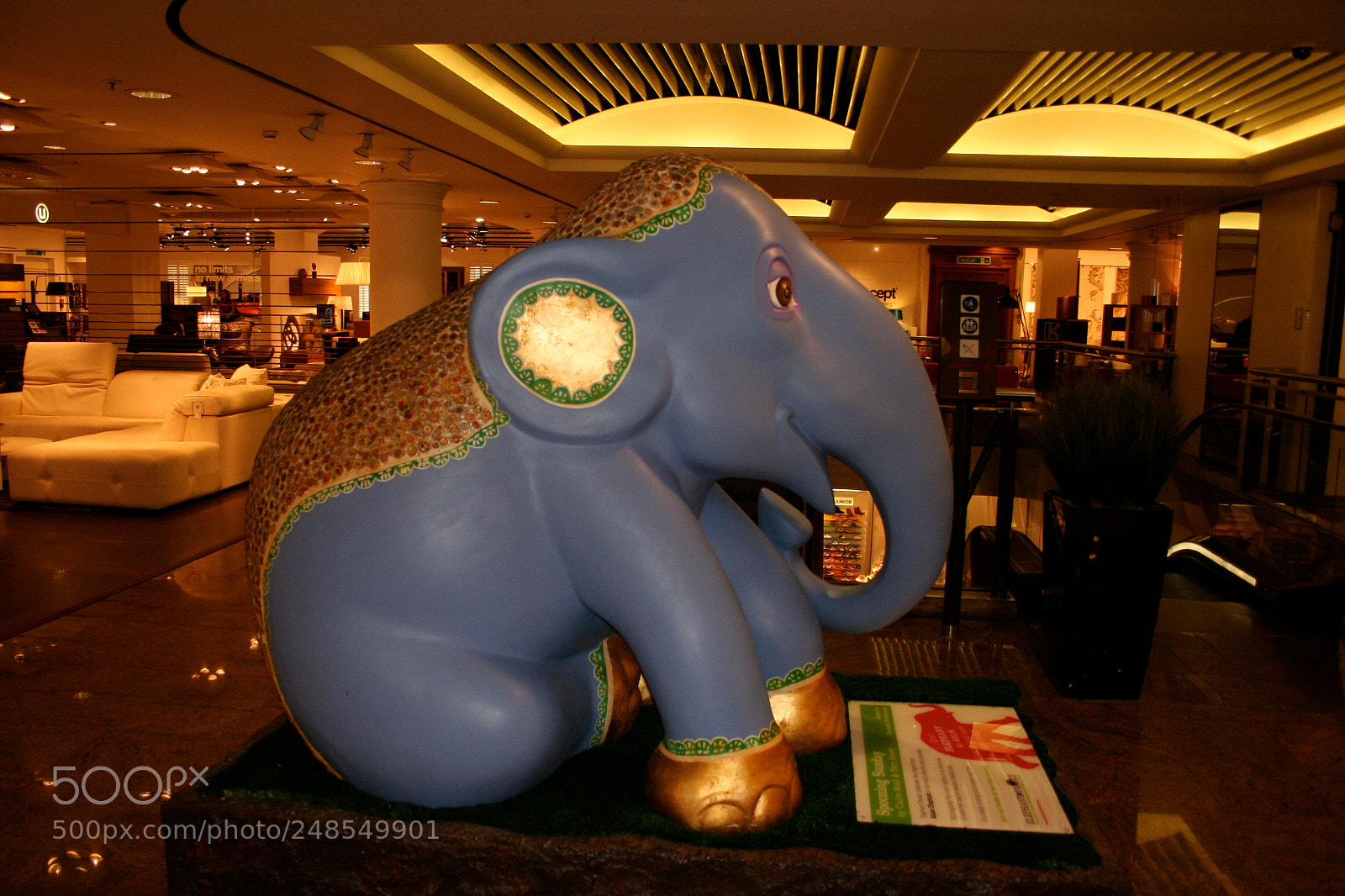 Canon EOS 350D (EOS Digital Rebel XT / EOS Kiss Digital N) sample photo. Elephant parade photography