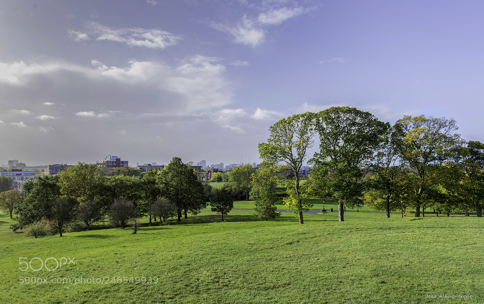 Nikon D600 sample photo. View from primrose hill photography