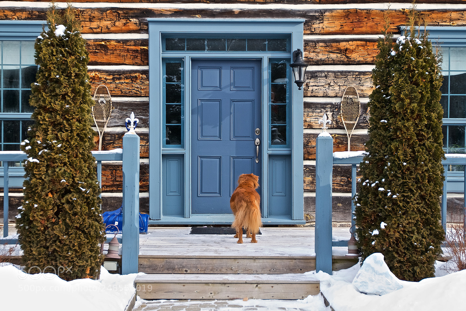Canon EOS 7D sample photo. Let me in please photography