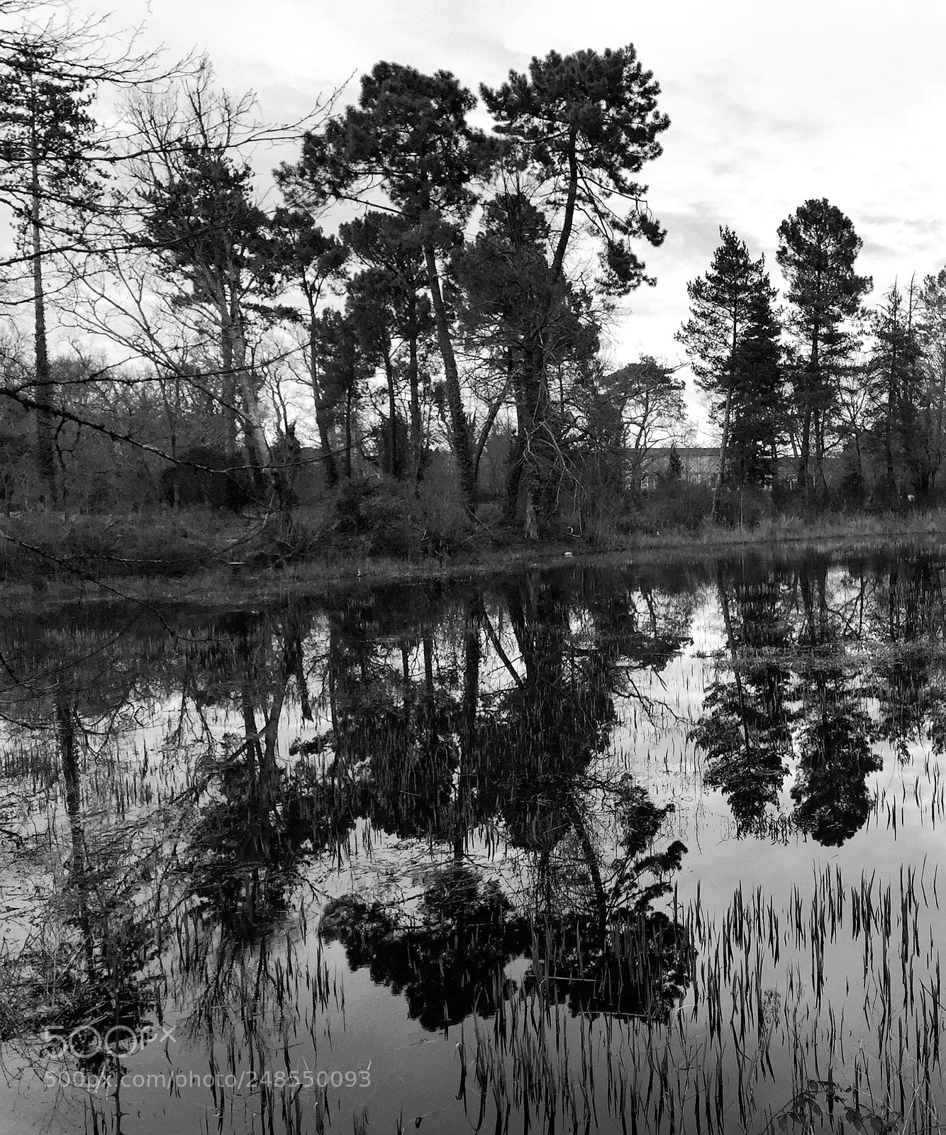 Apple iPhone 6 sample photo. Reflets sur le lac photography