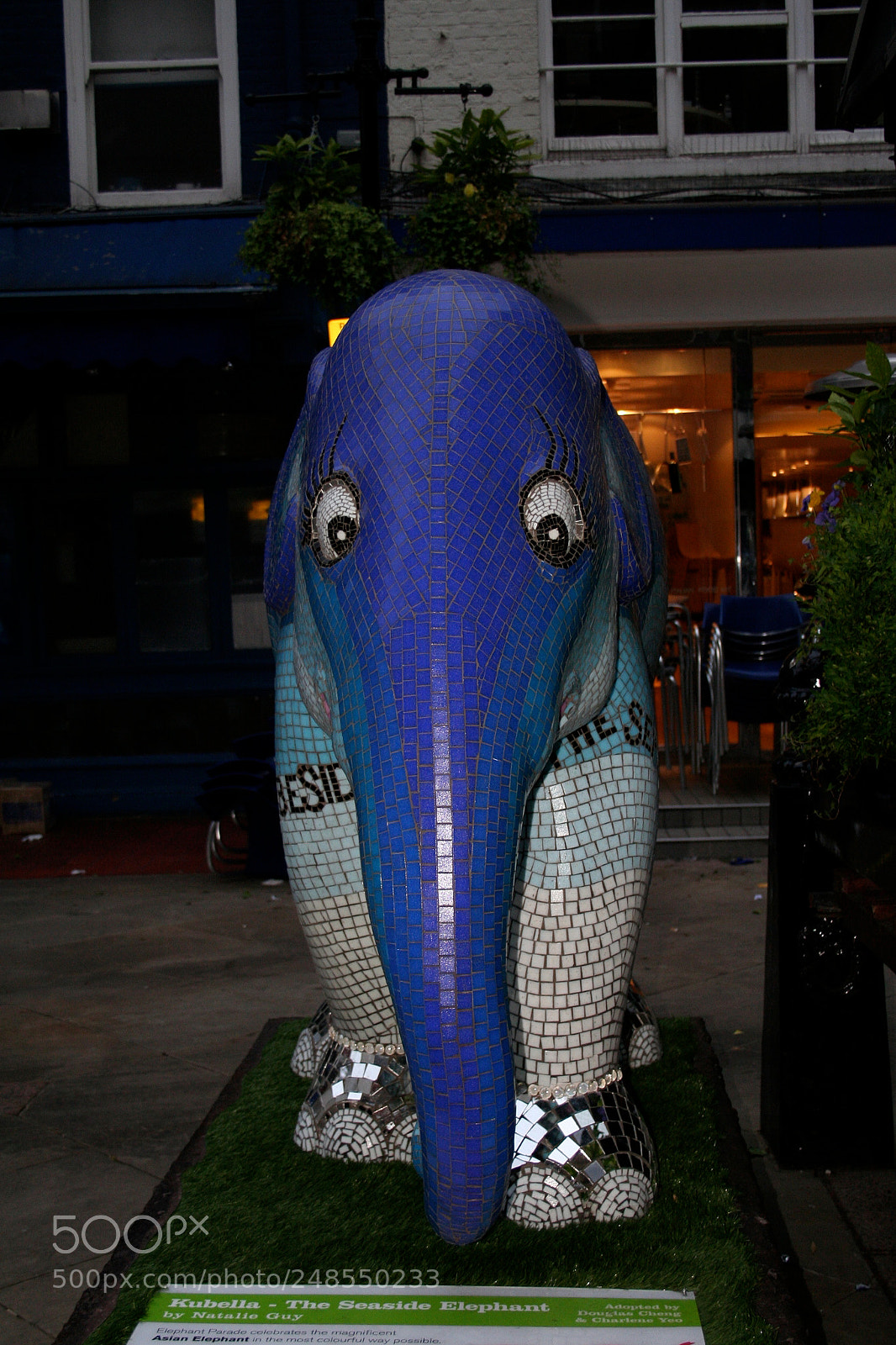 Canon EOS 350D (EOS Digital Rebel XT / EOS Kiss Digital N) sample photo. Elephant parade o photography